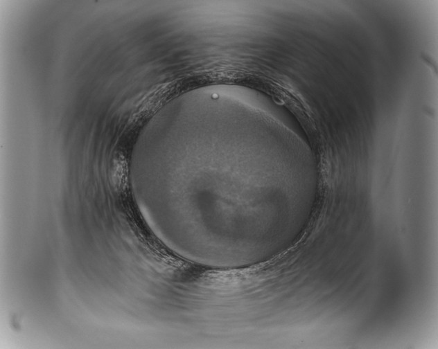 X0000100400029200806201746