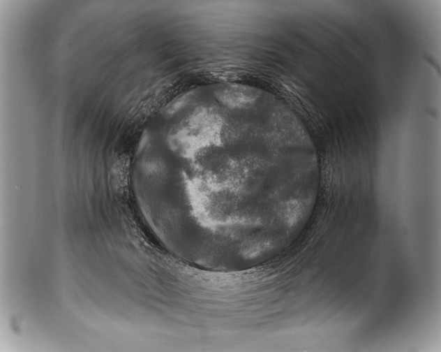 X0000100400030200806201746