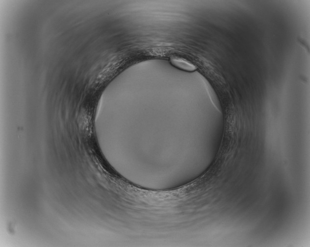 X0000100400031200806201746