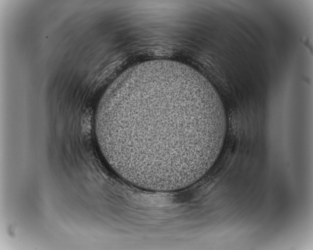 X0000100400032200806201746