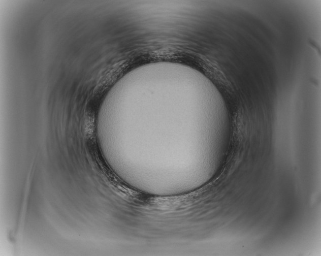 X0000100400033200806201746