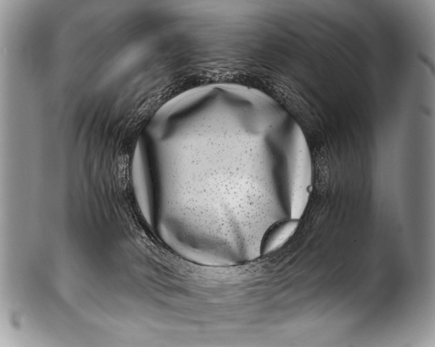 X0000100400034200806201746