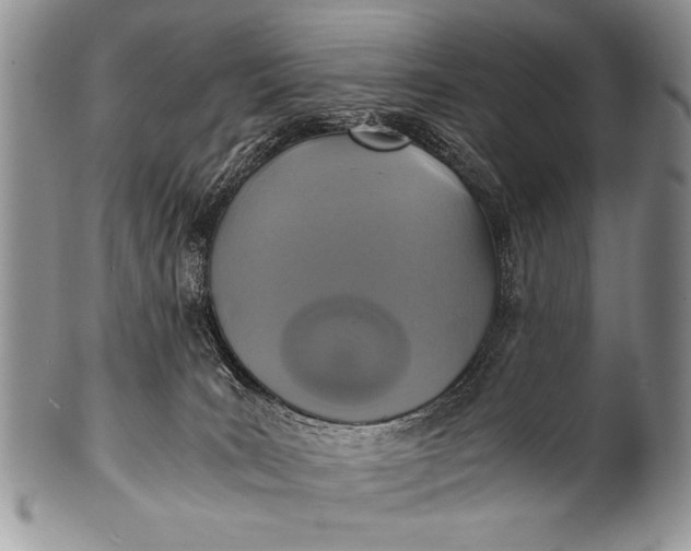 X0000100400035200806201746