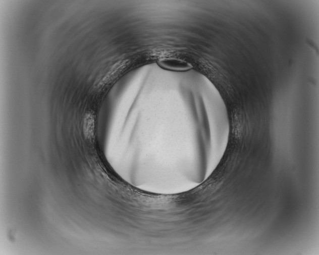X0000100400036200806201746
