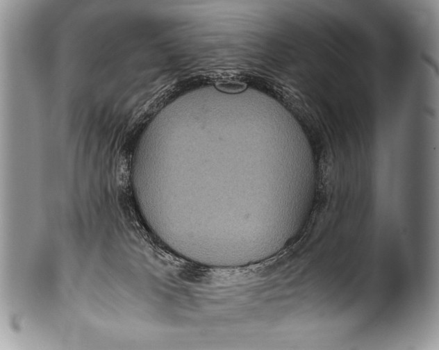 X0000100400037200806201746