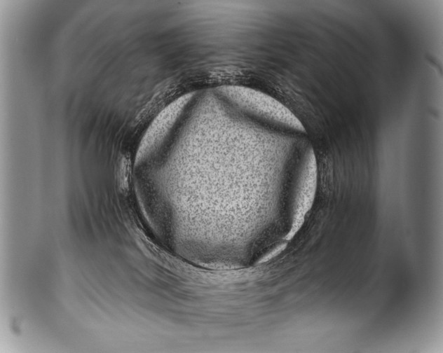 X0000100400038200806201746