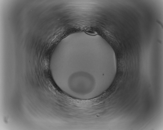 X0000100400039200806201746
