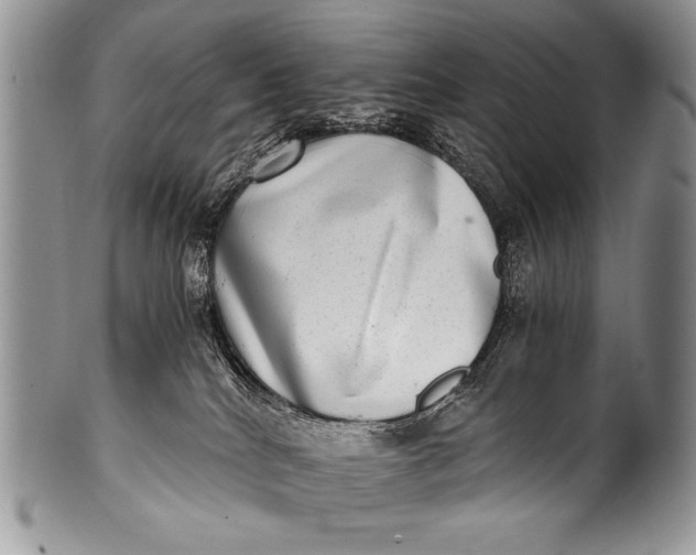 X0000100400040200806201746
