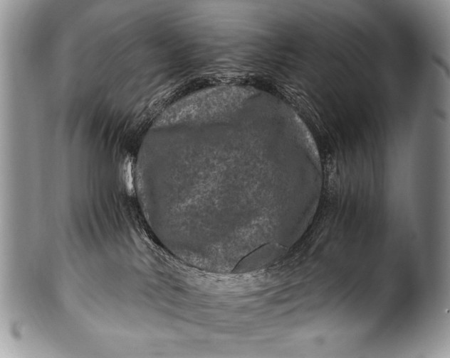 X0000100400042200806201746
