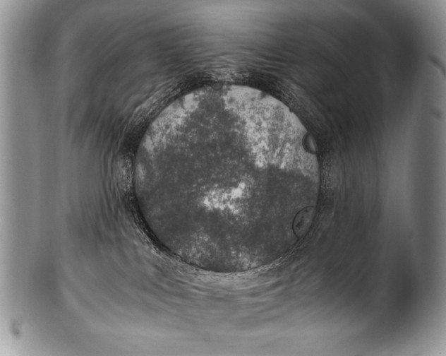 X0000100400043200806201746