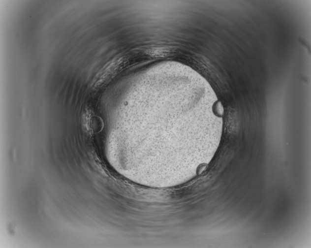 X0000100400044200806201746
