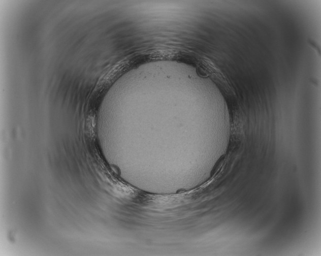 X0000100400045200806201746