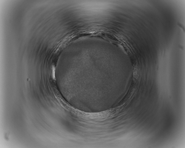 X0000100400046200806201746