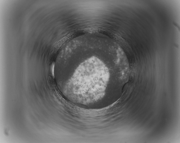 X0000100400047200806201746