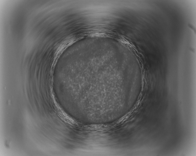 X0000100400049200806201745