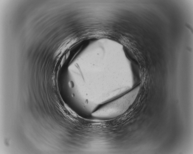 X0000100400050200806201745
