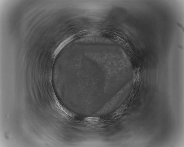 X0000100400051200806201745