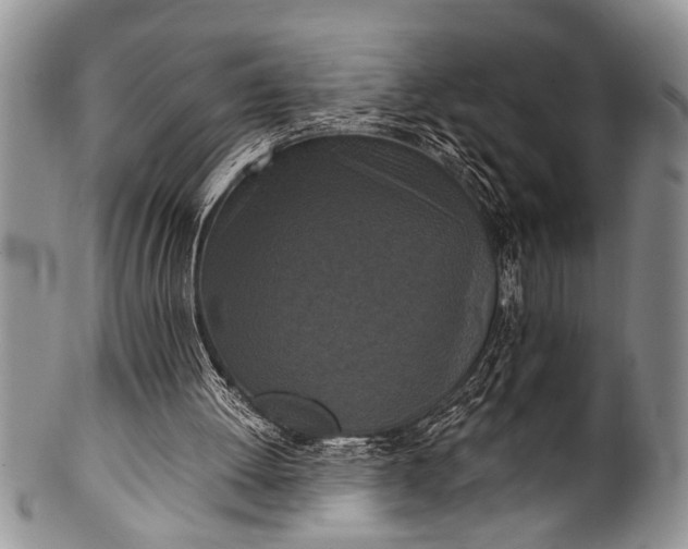 X0000100400052200806201745