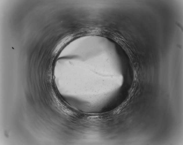 X0000100400054200806201745