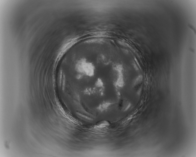 X0000100400055200806201745