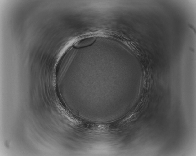 X0000100400056200806201745