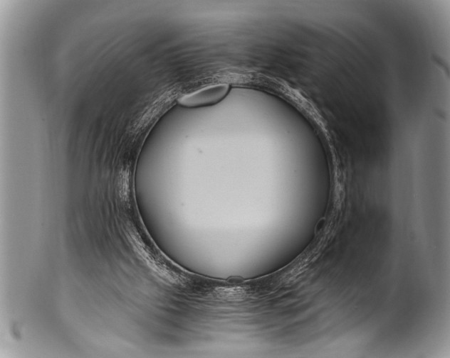 X0000100400057200806201745