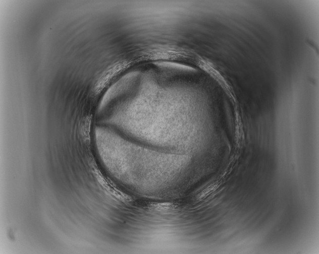 X0000100400058200806201745