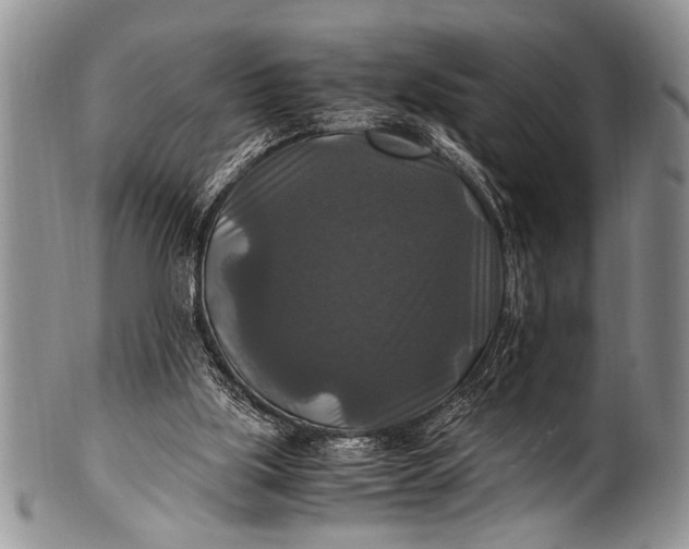 X0000100400059200806201745