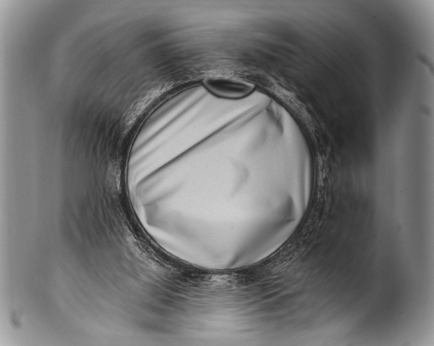 X0000100400060200806201745