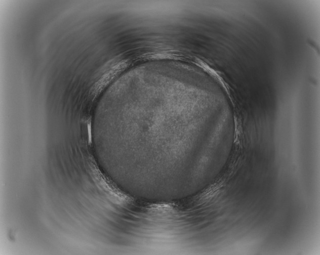 X0000100400061200806201745
