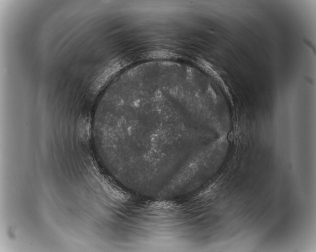 X0000100400063200806201745