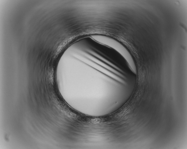 X0000100400064200806201745