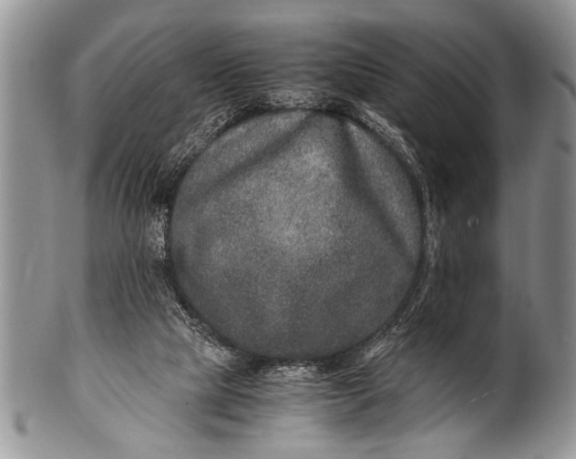 X0000100400065200806201745
