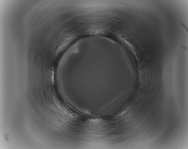 X0000100400067200806201745