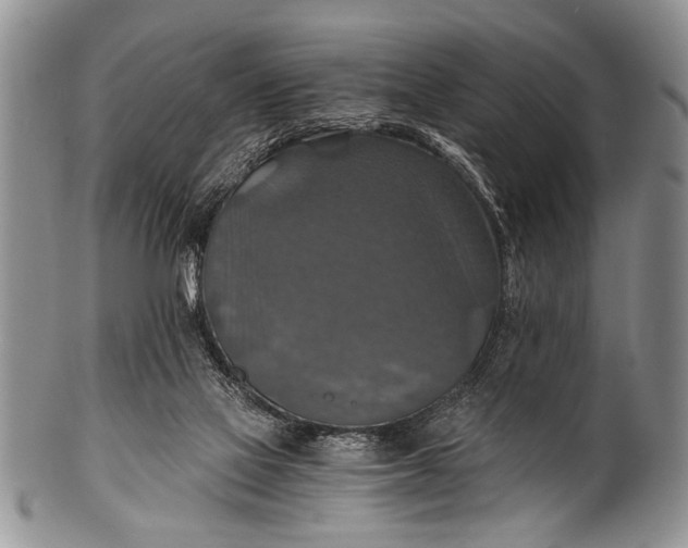 X0000100400069200806201745
