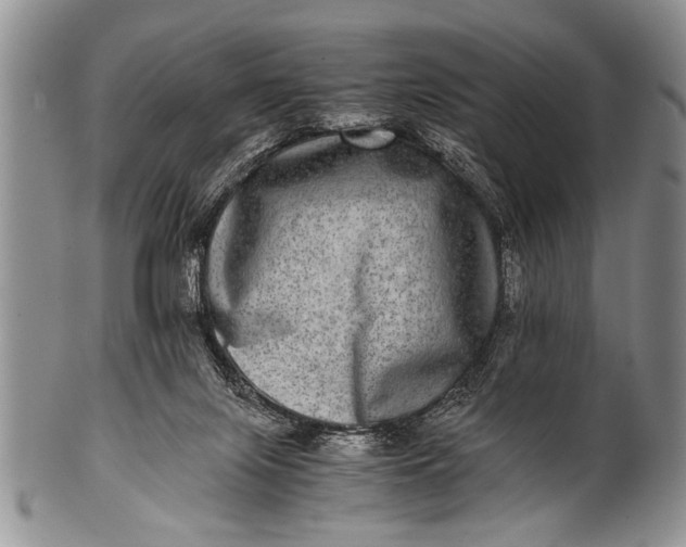 X0000100400071200806201745
