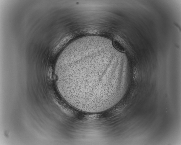 X0000100400072200806201745