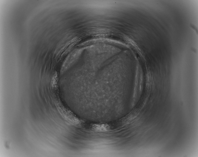 X0000100400073200806201745