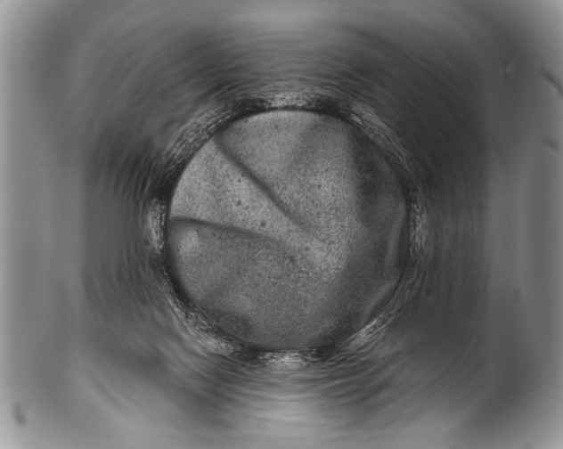 X0000100400074200806201745