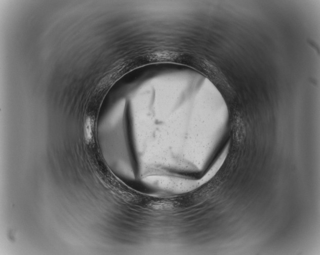 X0000100400075200806201746