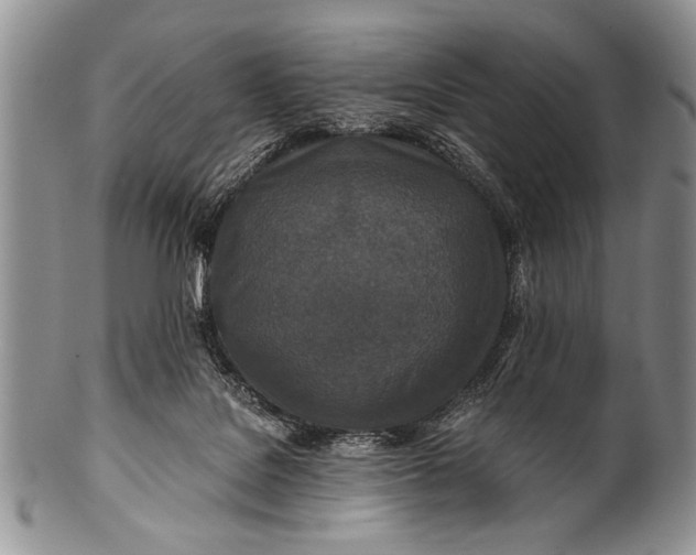 X0000100400076200806201746