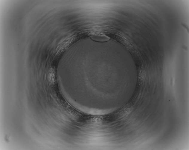 X0000100400080200806201746