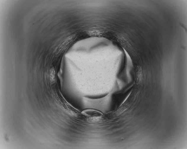 X0000100400081200806201746