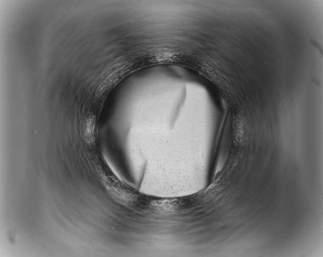 X0000100400082200806201746