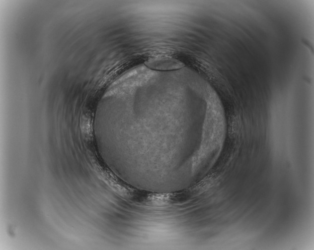 X0000100400084200806201746