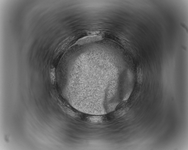 X0000100400085200806201746