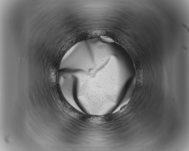 X0000100400086200806201746