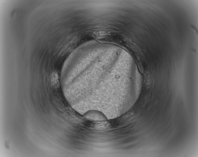 X0000100400087200806201746