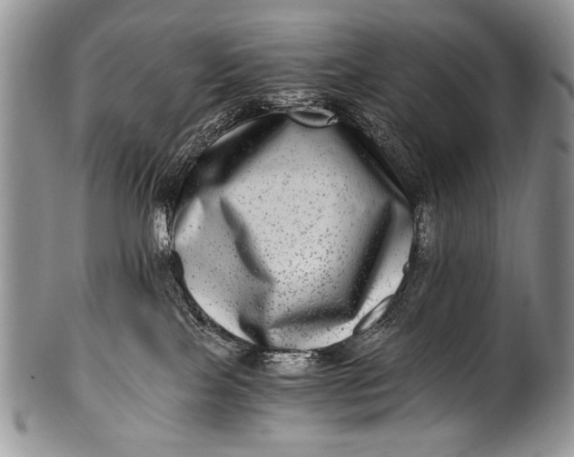 X0000100400089200806201746