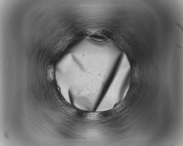 X0000100400090200806201746